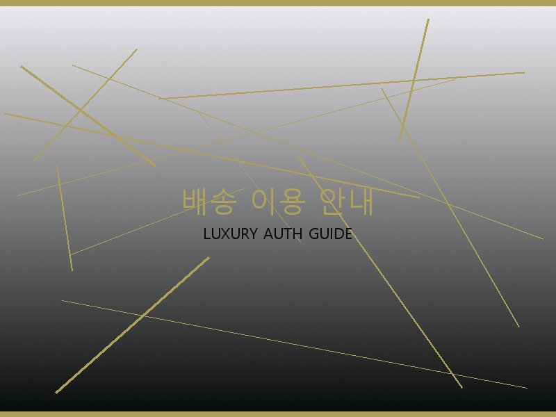 레이디백 레플 사이트 배송 이용 안내