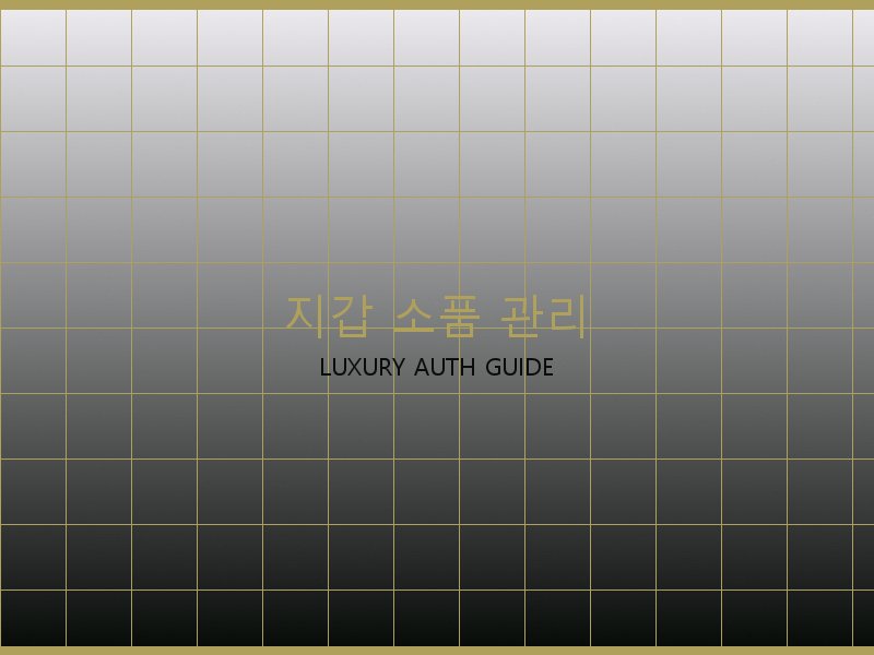 레이디백 레플 사이트 지갑·소품 관리